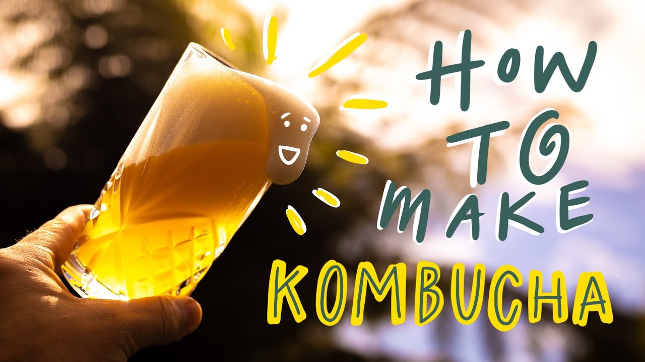 How-To Make Kombucha (POV)