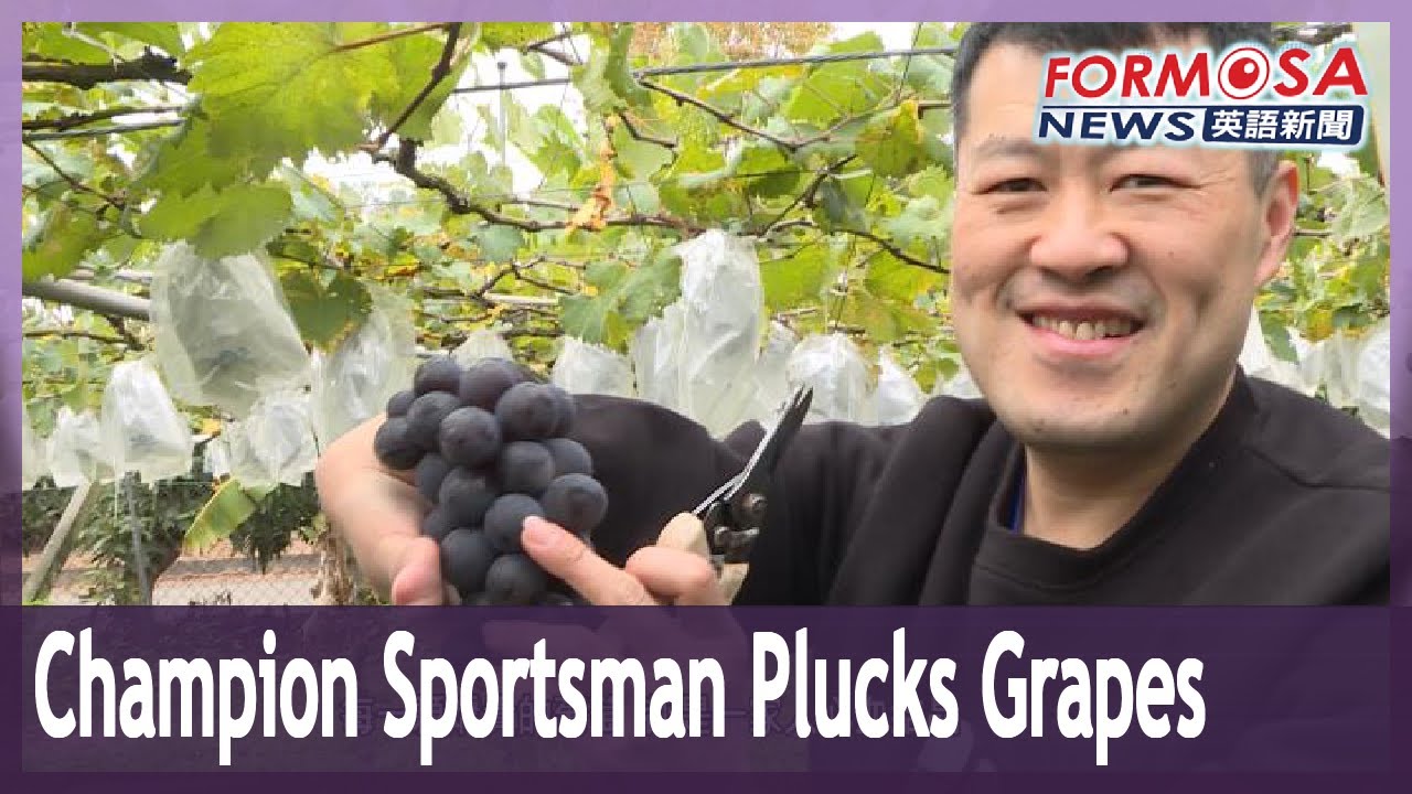 Asian Para Games champion heads home to Nantou for the grape harvest
