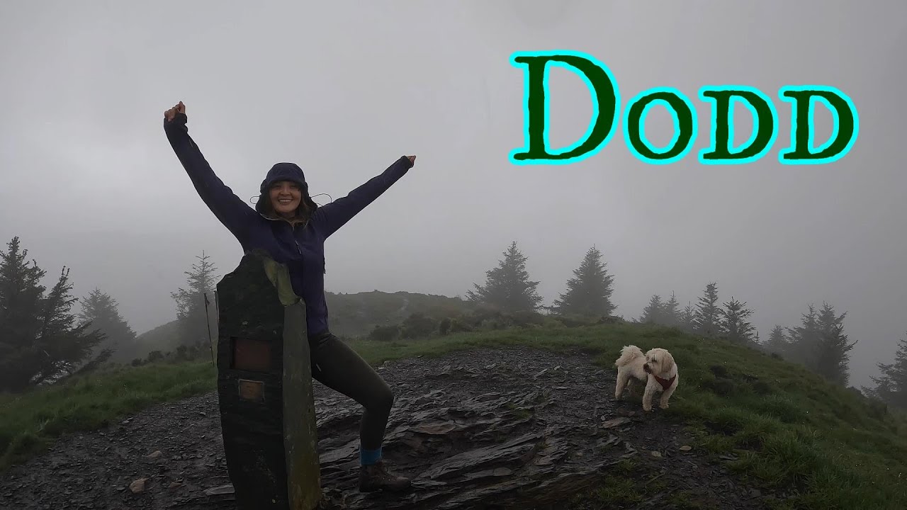 Searching For Ospreys & Celebs With A Walk Up Dodd - Up Through Dodd Wood