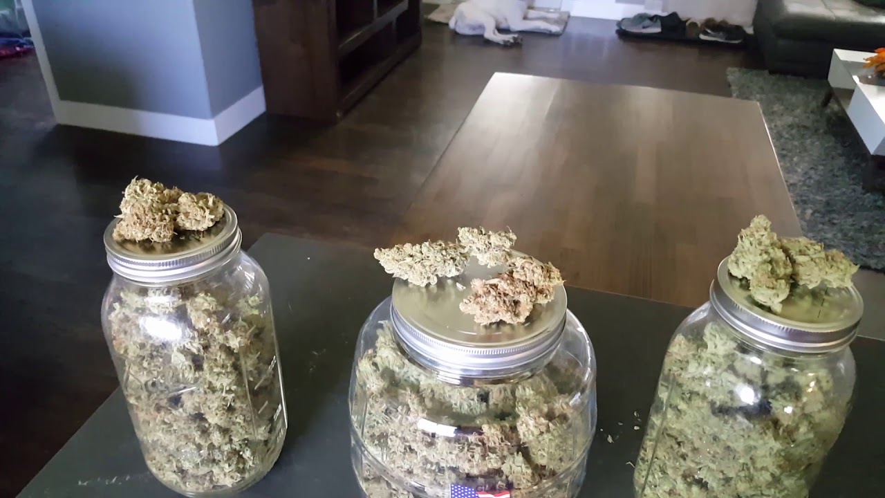 A LITTLE TEASER OF THE BOOMB DANK!