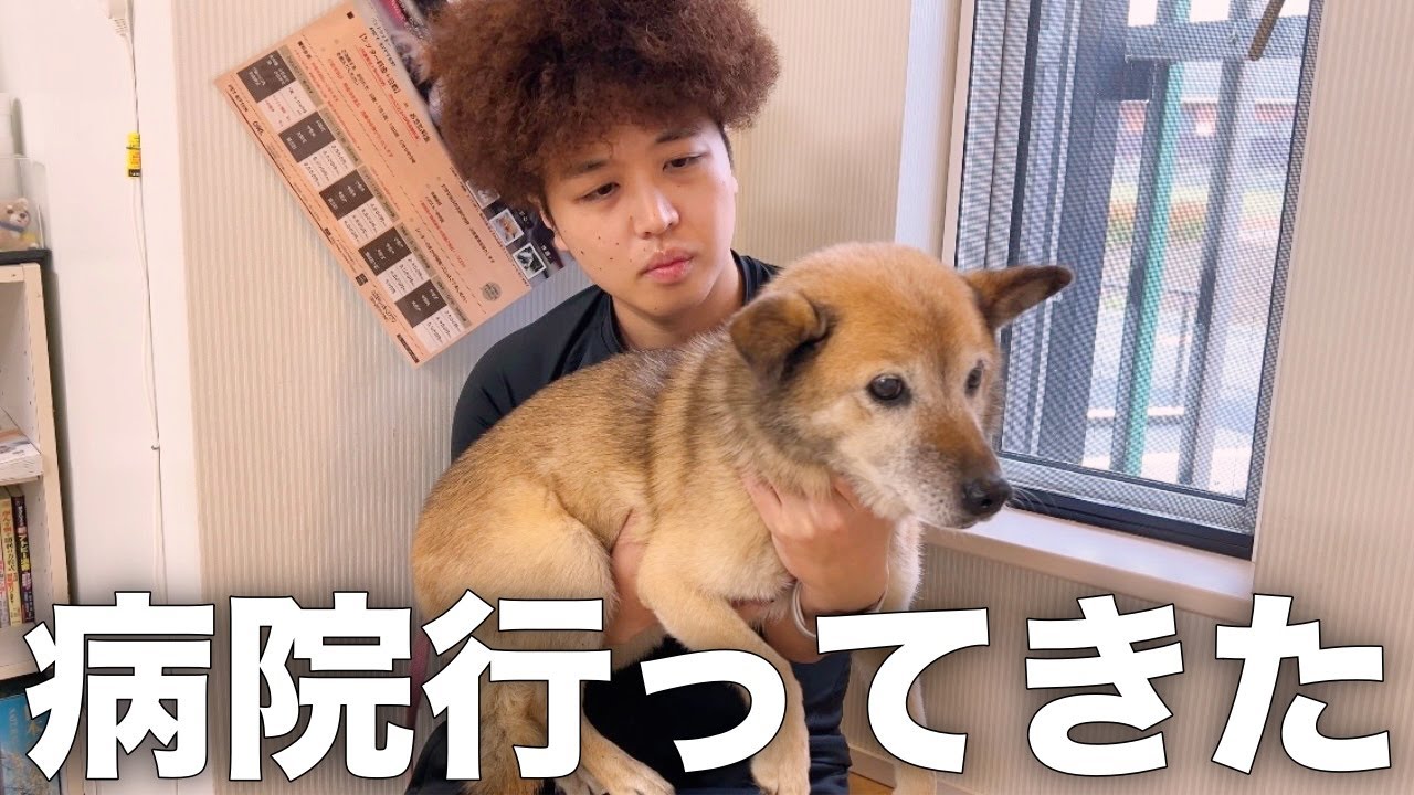 闘病中の愛犬コロちゃんの体に衝撃の変化が起こりました
