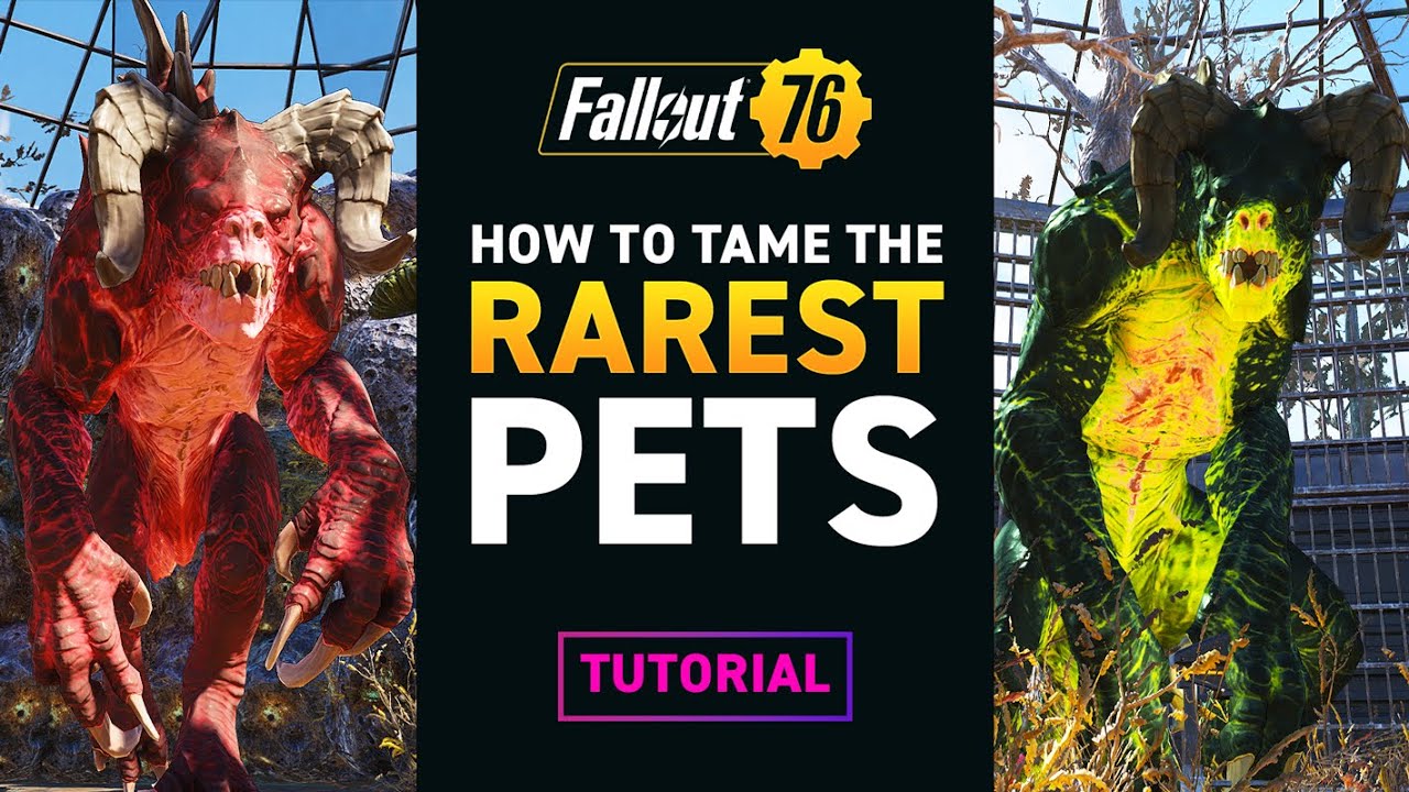 ПРИРУЧИТЕ САМЫХ РЕДКИХ ПИТОМЦЕВ ДЛЯ ВАШЕГО ЛАГЕРЯ – Обучающее видео Fallout 76