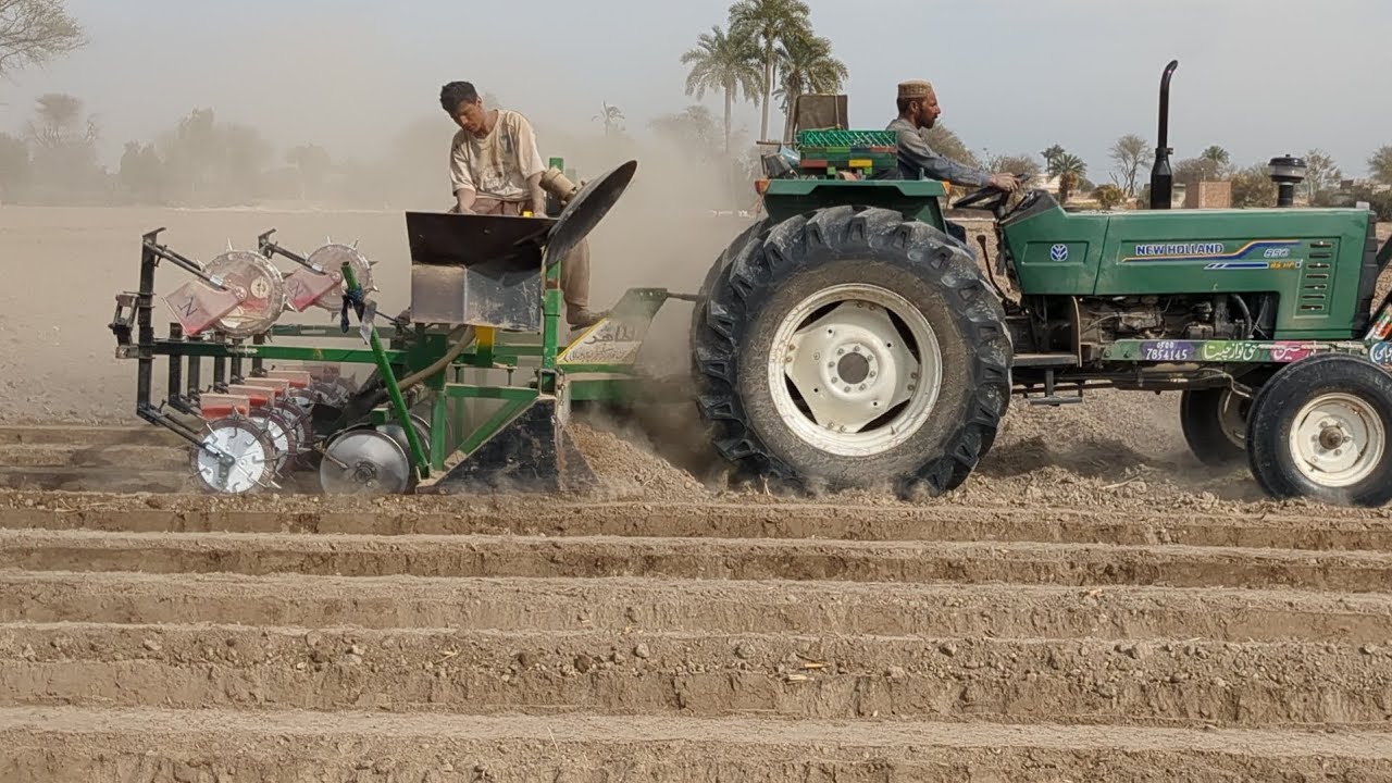 The tractor is working on maze 🌽 seed shallor 