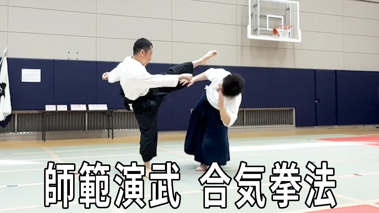 【2025年合気道大会】師範演武 合気拳法【合気道掌法会(Aikido Shohokai)】