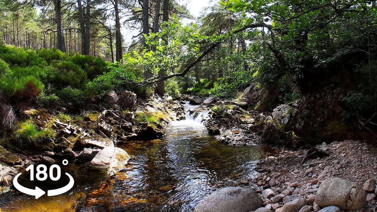 8K 180° 3D VR Glen Tanar, Scottish Cairngorms | Forest Stream Cascades & Relaxing Water