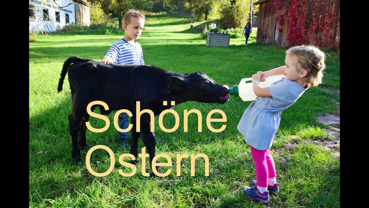Schöne Ostern - Euer Mohrenhof
