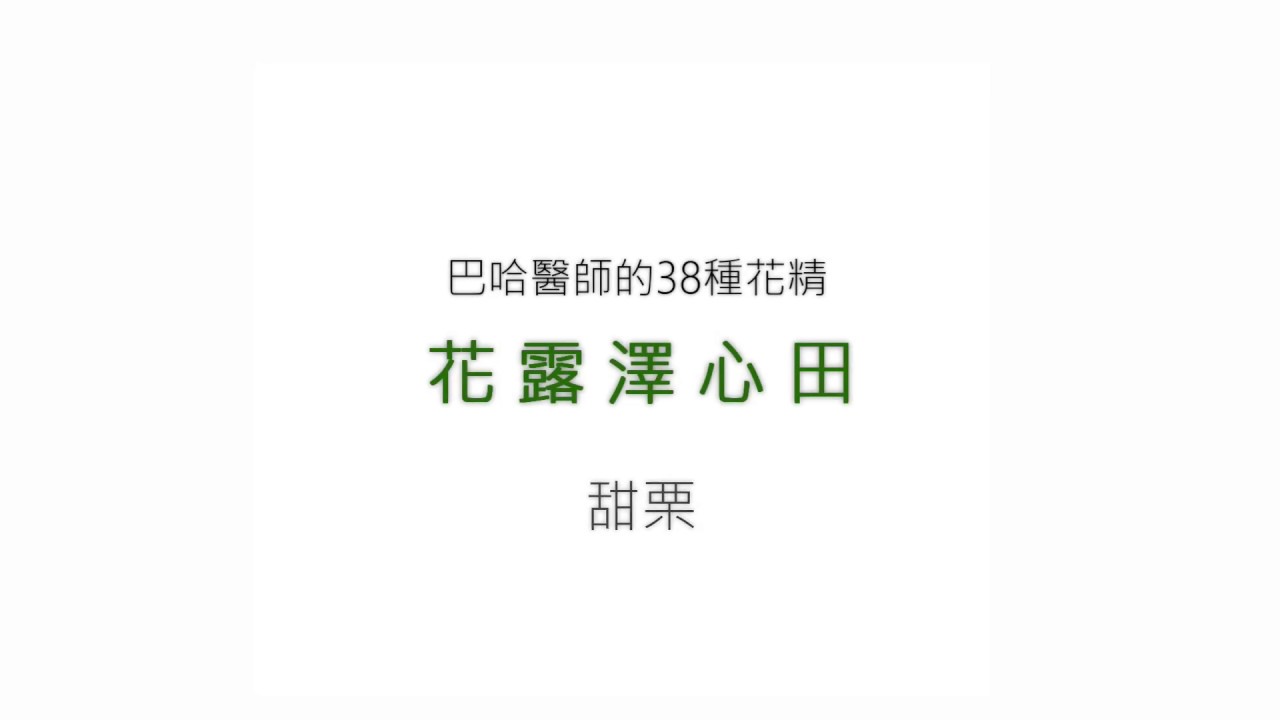30 甜栗 Sweet Chestnut