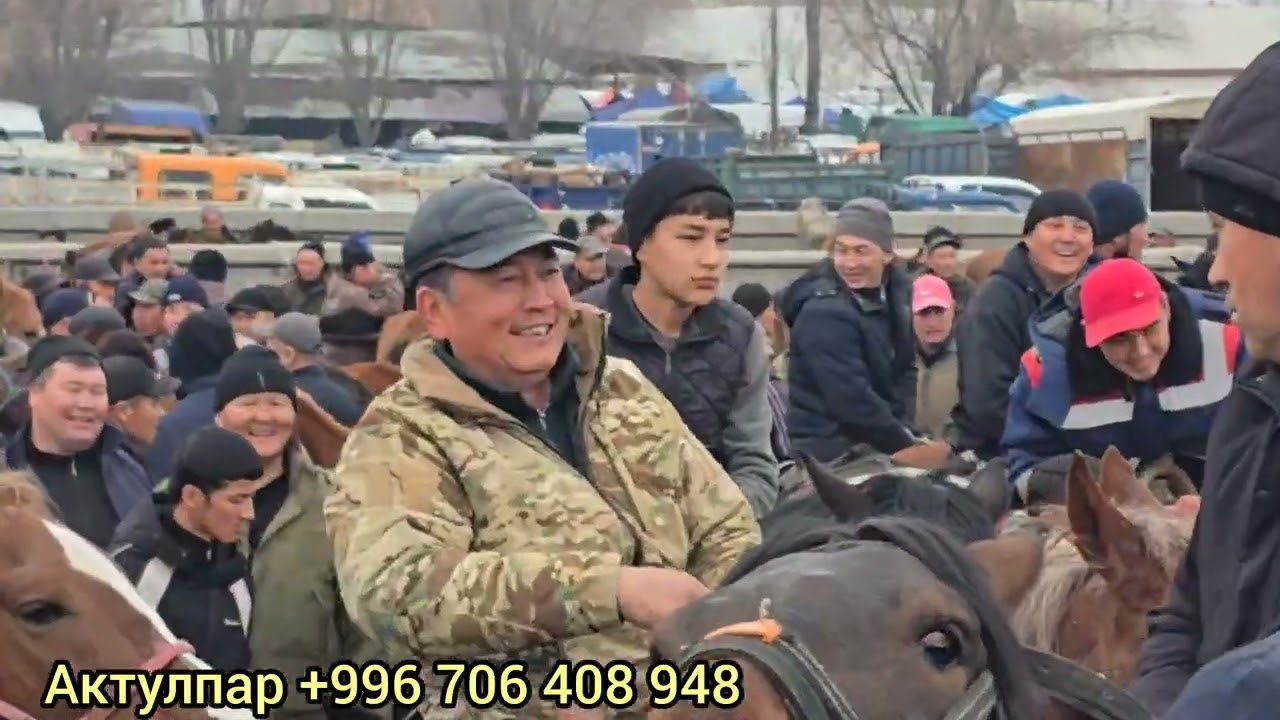 Жылкы базар 3 март 2026 Ноокен Жылкы базар #жылкыбазар #атбазар #rek 