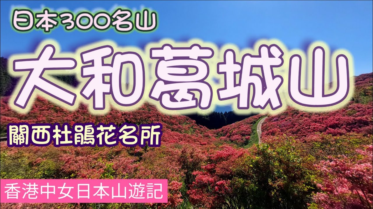 奈良《大和葛城山》，關西杜鵑花第一名所，每年4 - 5月山頭一片火紅，吸引無數遊客登山為一賭其壯麗的美景，日本三百名山之一