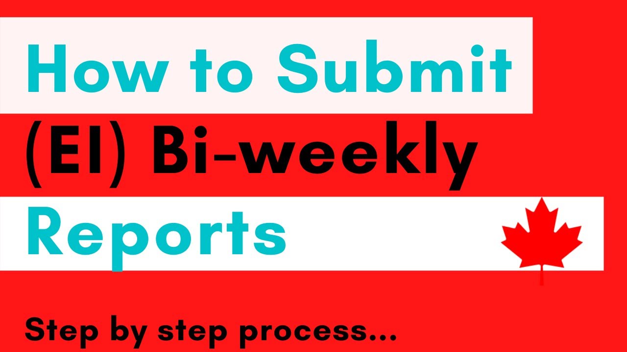 How to submit bi-weekly reports for ei step by step process