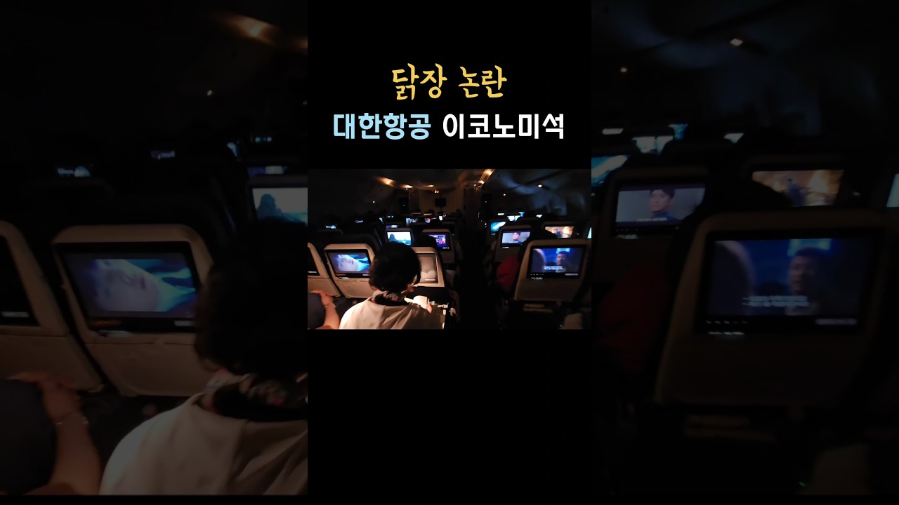 대한항공 닭장이코노미 실제 상황