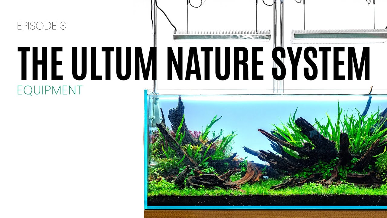 EP 3: The Ultum Nature System Complete - Aquarium Equipment Setup Showcase