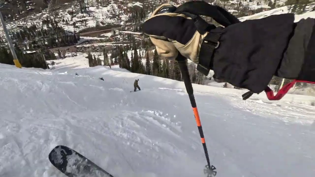 Run 5 Snowbird 2/14/2026