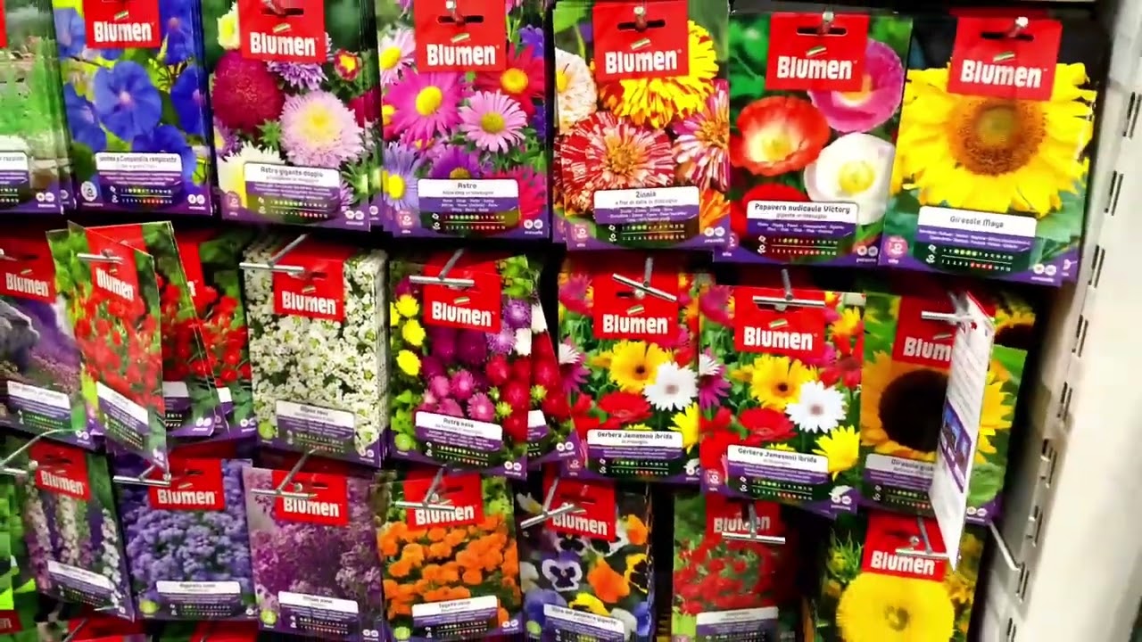 НАШИ БУДНИ В ИТАЛИИ. МАГАЗИН ВСЕ ДЛЯ ДОМА @Giovanna1615