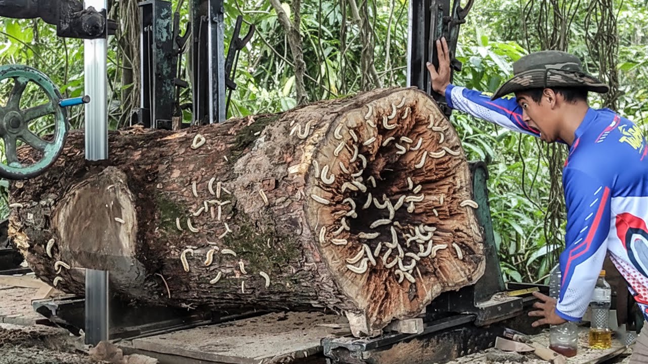SHOCKING!! The 10 Year Old Tragedy Happened Again While Sawing Rare Sono Keling Wood