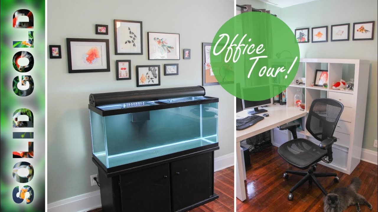 The Office of a Goldfish Stuff HOARDER!