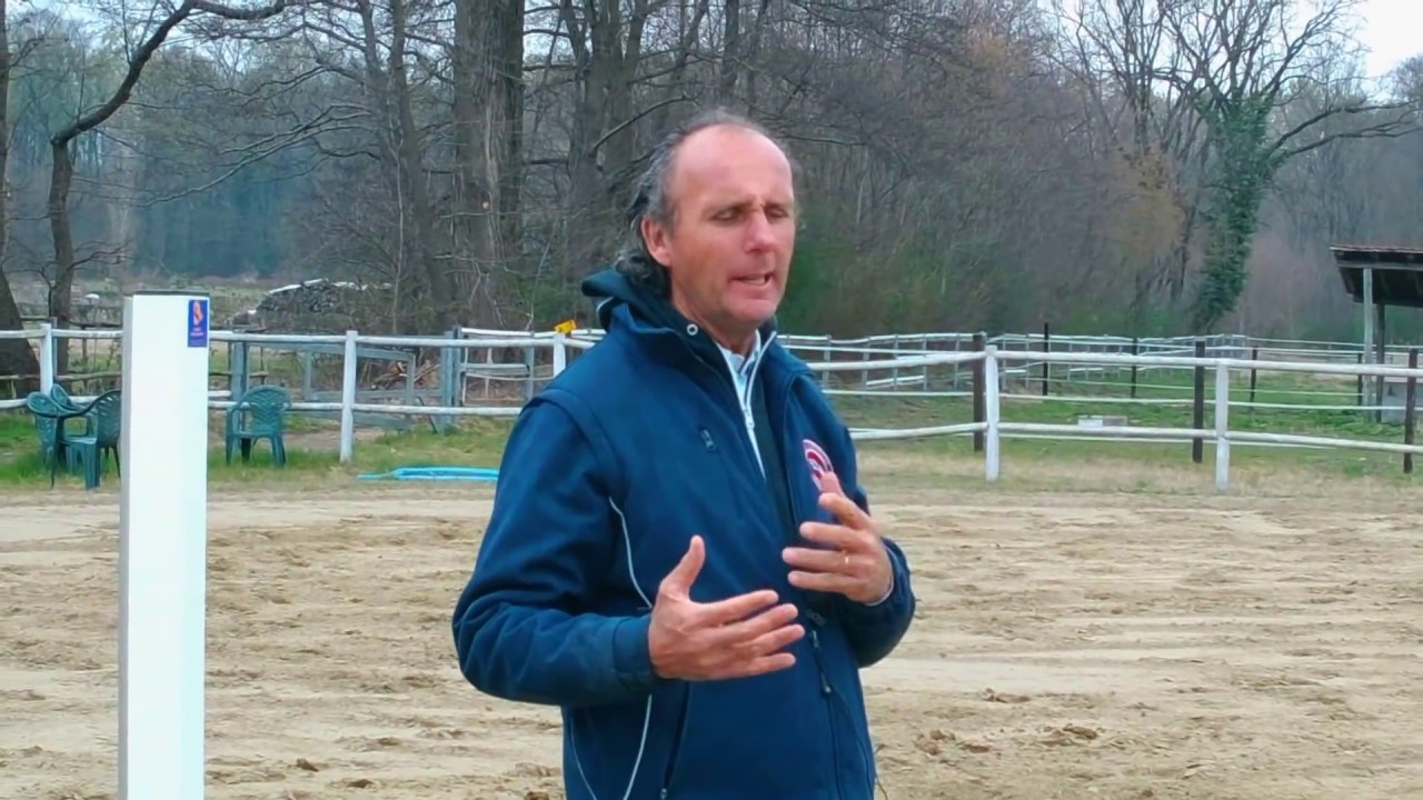 Equitazione online: vari esercizi di salto ostacoli
