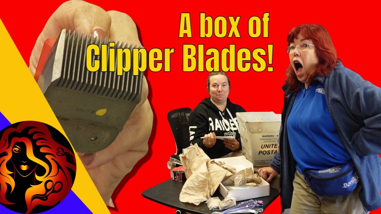 It's Time to Sharpen Clipper Blades - New Techniques | Bonika Shears