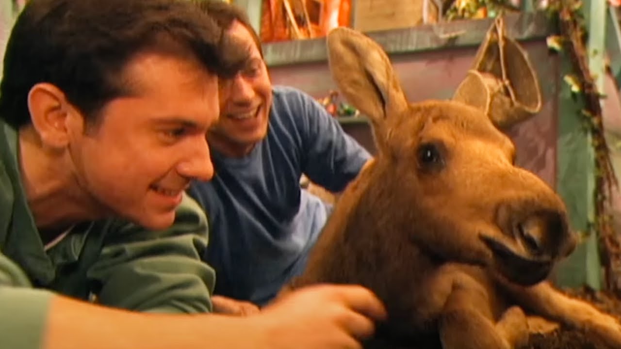 Zoboomafoo - Baby Moose | WildBrain Zoo | Animal Lovers Kids Show