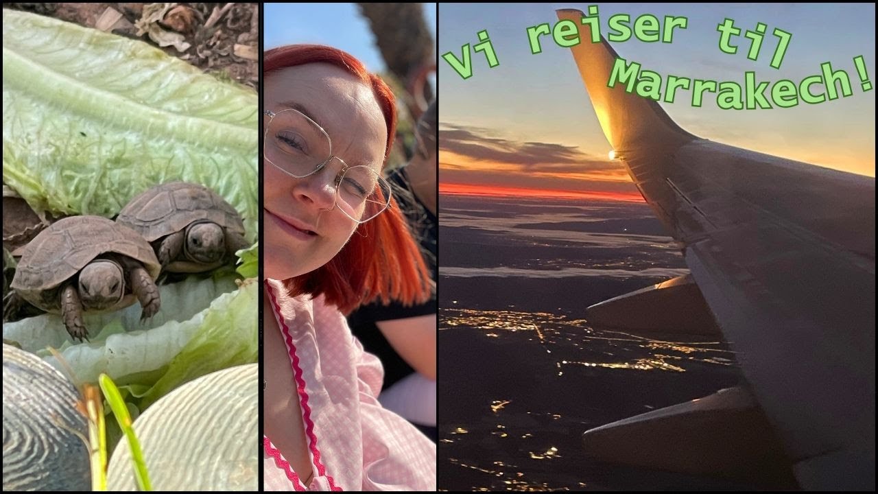 Vi reiser til Marrakech og hotellrom-tour! Dag 1 & 2 ☀️