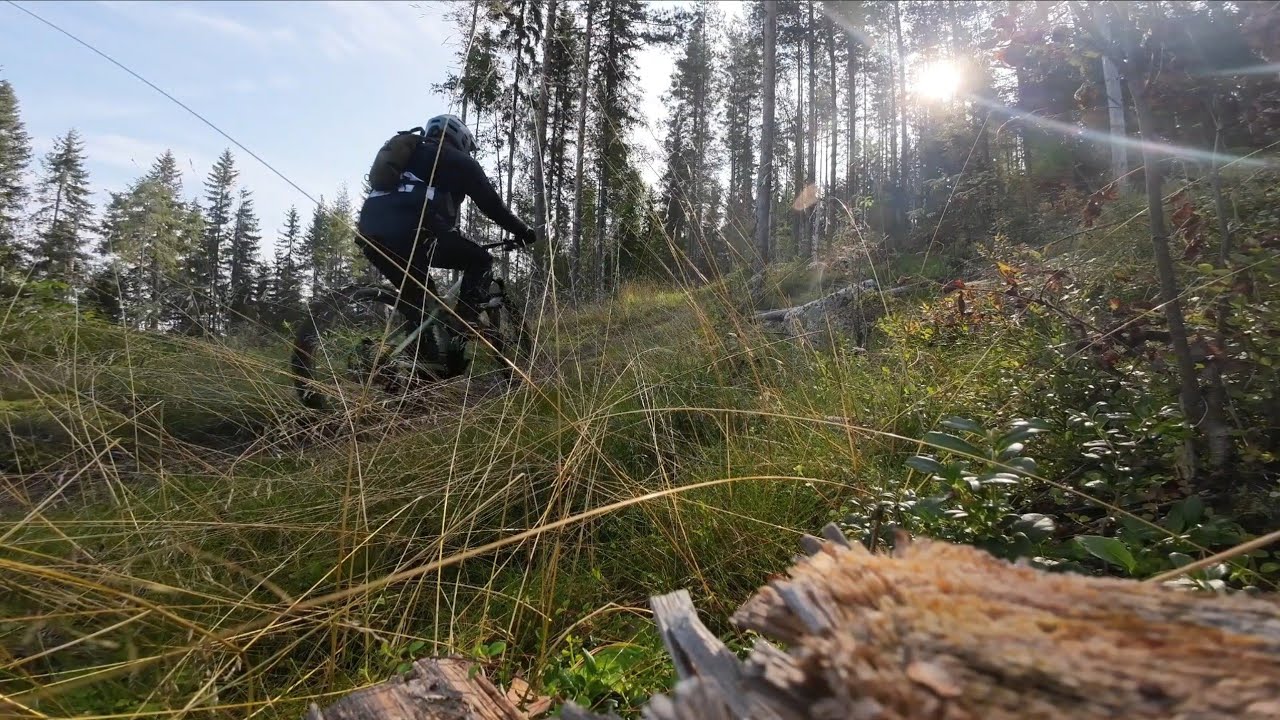 Peurunka MTB Laukaa 2024 (Koko reitti)