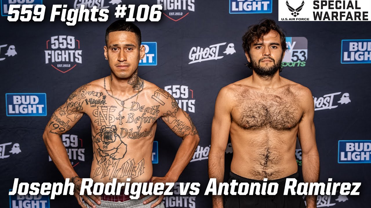 559 Fights 
