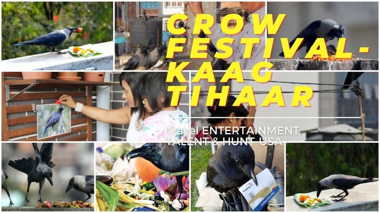 Kaag Tihar 2078|Crow Festival Nepal 2021|Greetings & Info.