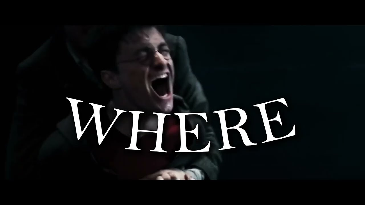 Where have you been x Harry Potter