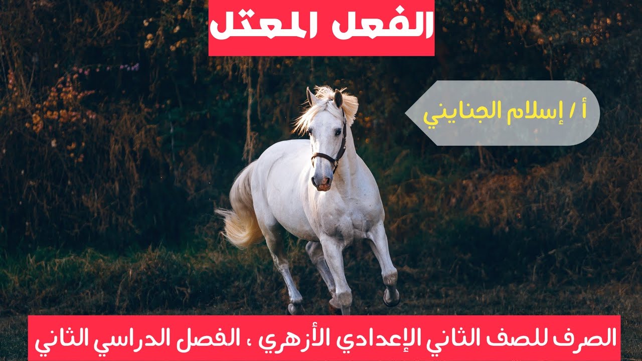 9 / الفعل المعتل ، ( صرف ، شرح ) ، الصف الثاني الإعدادي الأزهري، ترم تاني 2023 / أ - إسلام الجنايني.