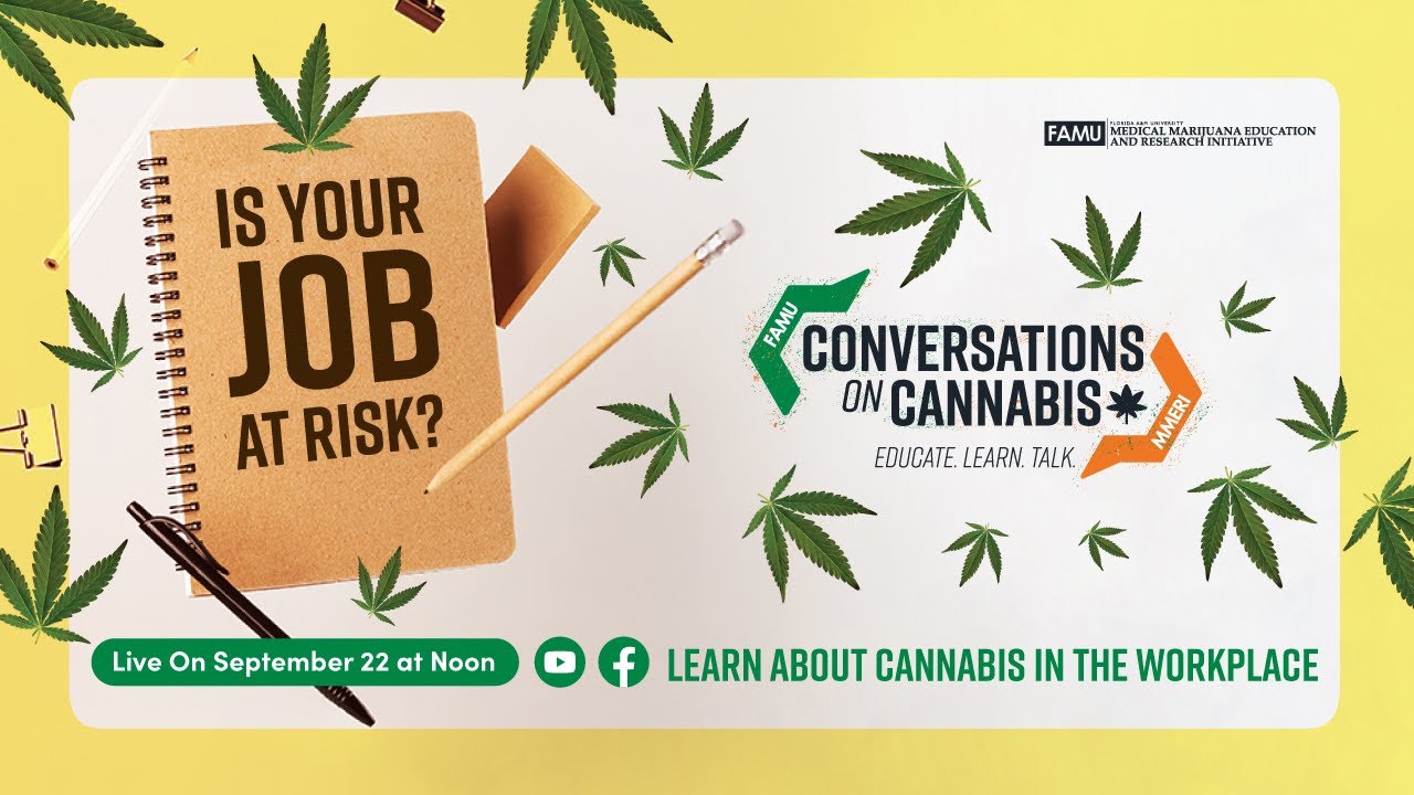 Is Your Job at Risk? Learn About Cannabis in The Workplace
