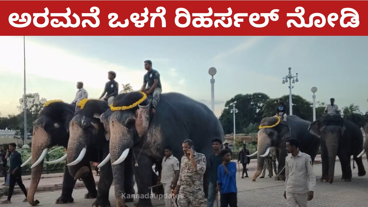 ಅರಮನೆ ಒಳಗೆ ರಿಹರ್ಸಲ್ ನೋಡಿ ಅಭಿಮನ್ಯು ಟೀಮ್ / Abhimanyu team elephants reharsal Mysuru palace 