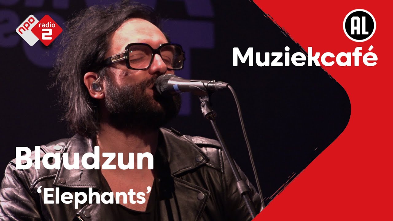Blaudzun - Elephants | live in Muziekcafé
