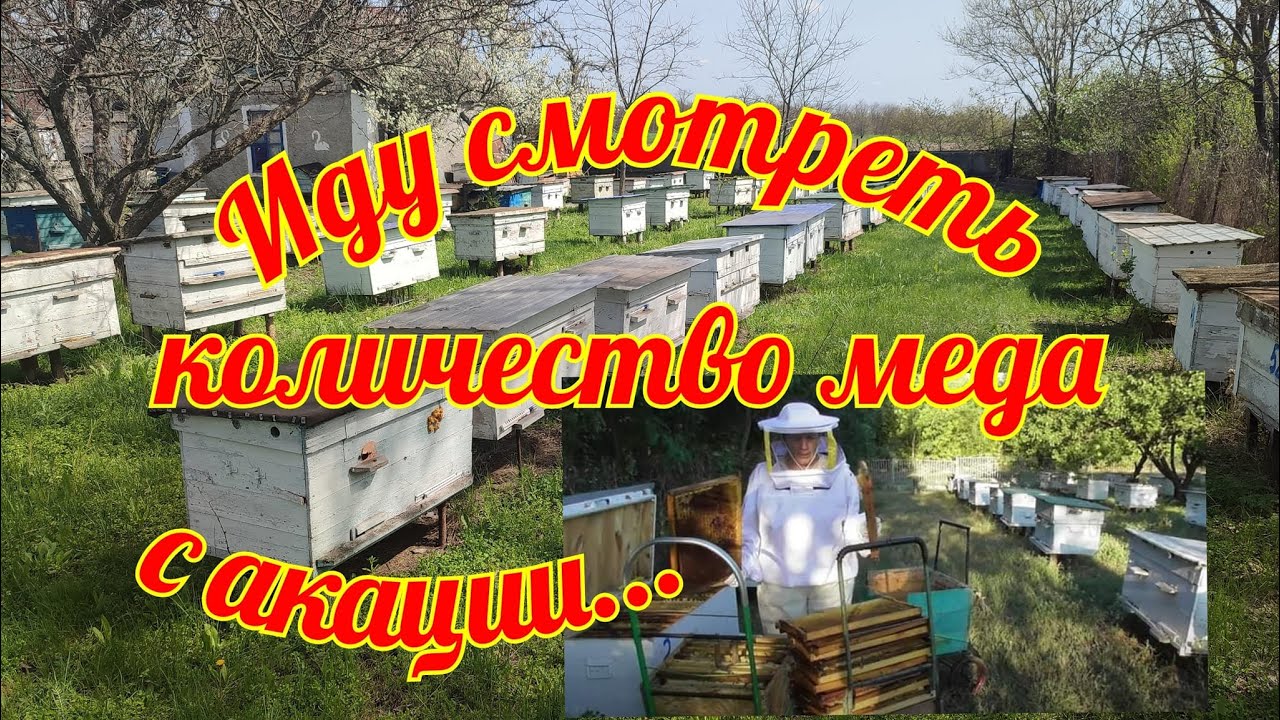 УКРАИНОЧКИ  трудолюбивые. Вы только посмотрите, как они поработали.
