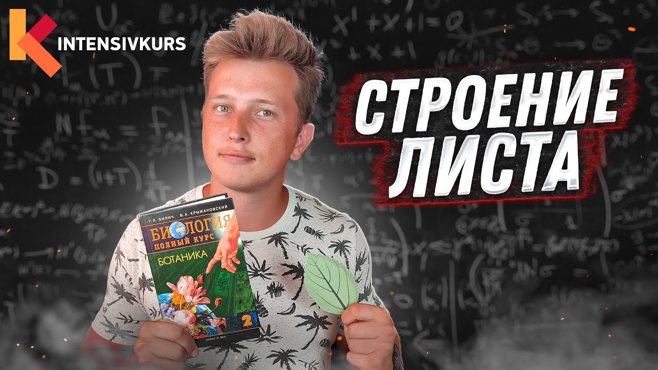 Биология 8 класс — Строение листа