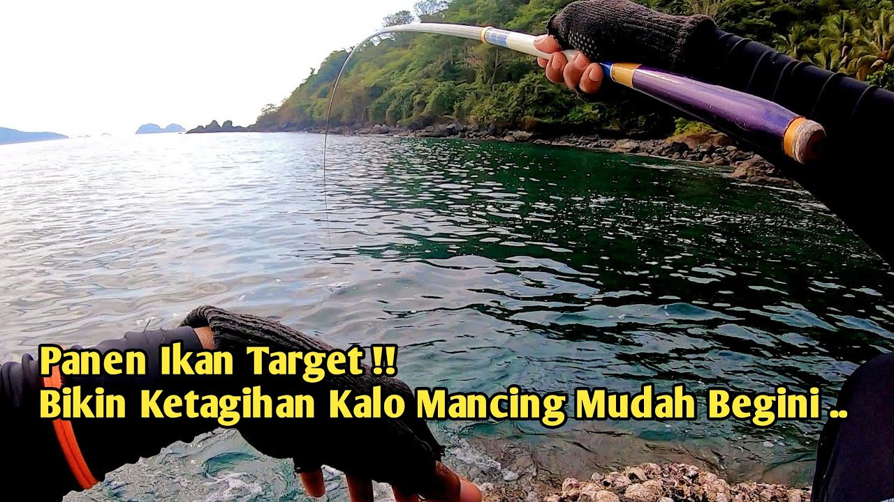 Panen Ikan Target ‼️ Mancing Tegek Di Pinggiran Laut