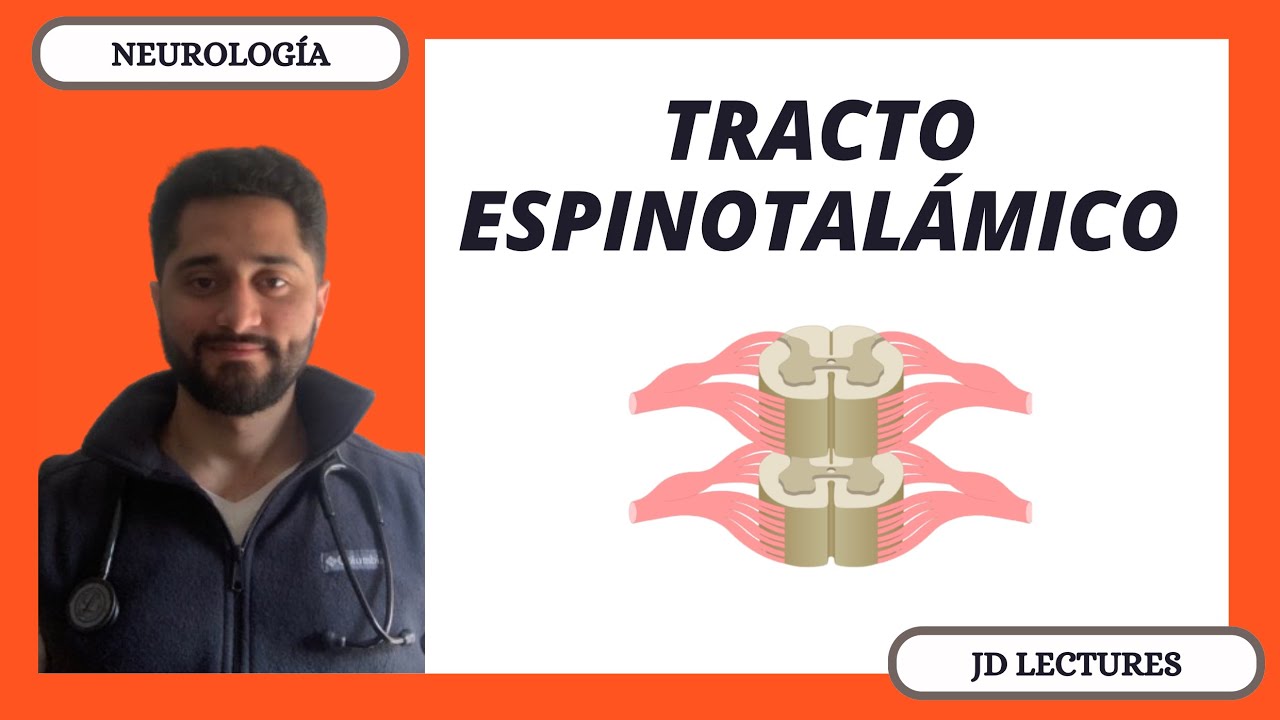 TRACTO ESPINOTALÁMICO | TRACTOS ASCENDENTES | NEUROLOGÍA