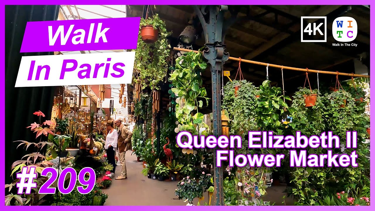 Queen Elizabeth II Flower Market, Paris, France | Walk In Paris