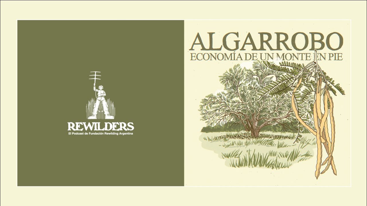REWILDERS | Ep. 03 ·  El Algarrobo