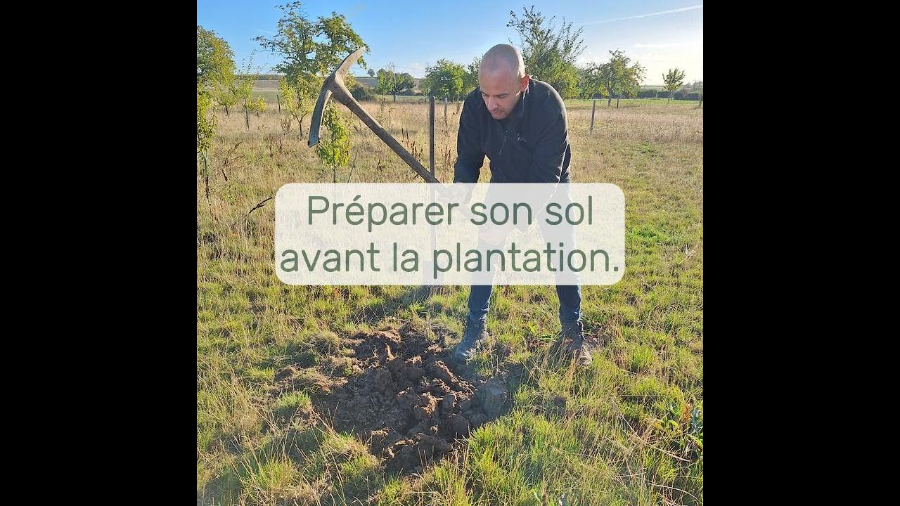 Préparation de votre terrain avant la plantation d'un arbre fruitier.