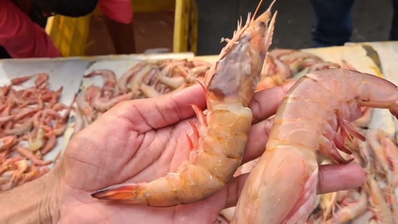 Malad Biggest Fish Market 🐟 😋 | wholesale Fish Market in Mumbai