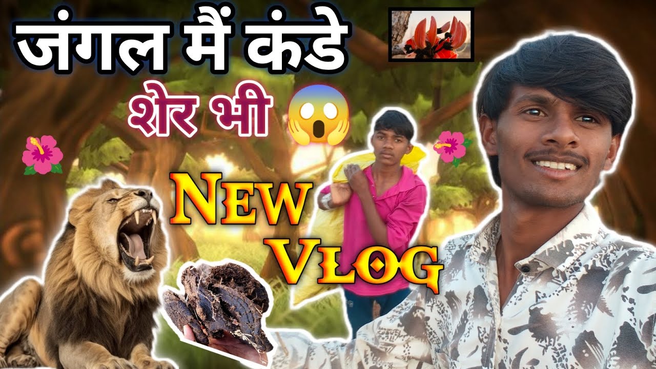 Lion 🦁 Dikha/शेर दिखा 😱। Jungle me kande Lene Gaye the/New vlog 📸_#newvlog _#vlog 
