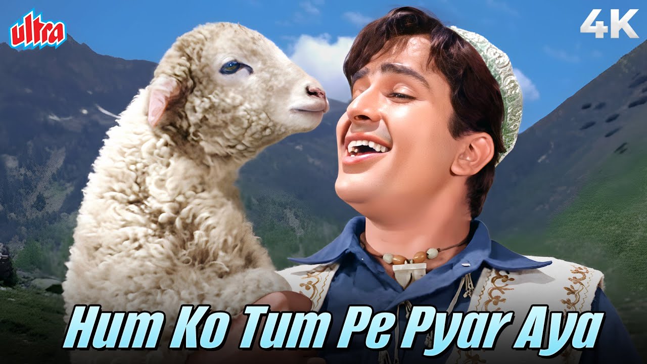 Affo Khudaa Hum Ko Tum Pe Pyar Aaya | Full Hindi Song | Shashi Kapoor, Nanda | Mohammed Rafi Classic