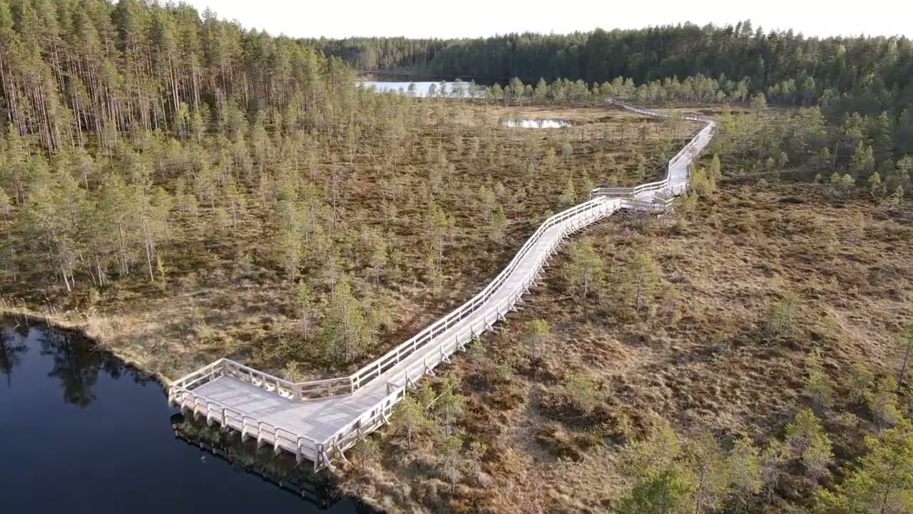 Seitsemisen kansallispuisto, Saari-Soljanen
