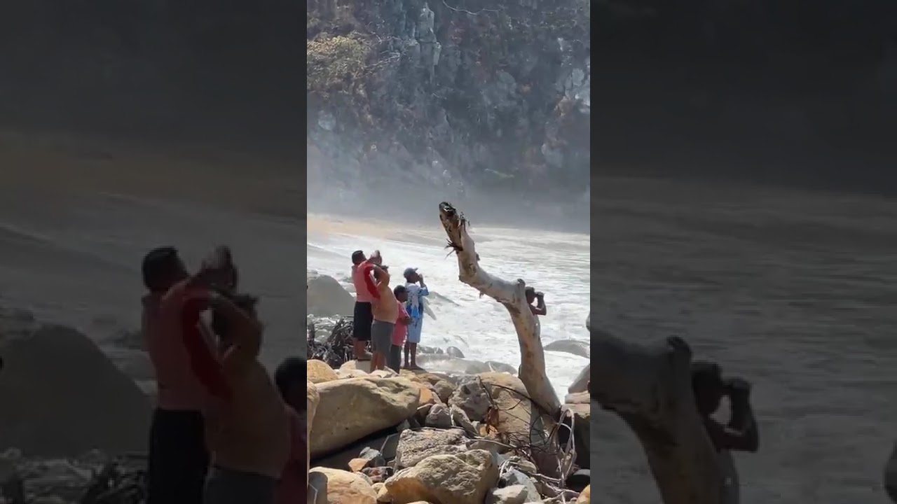 Localizan flotando a uno de los pescadores desaparecidos de Acapulco 