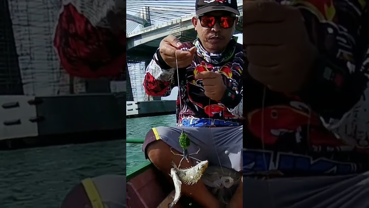 rabbit fish # shorts