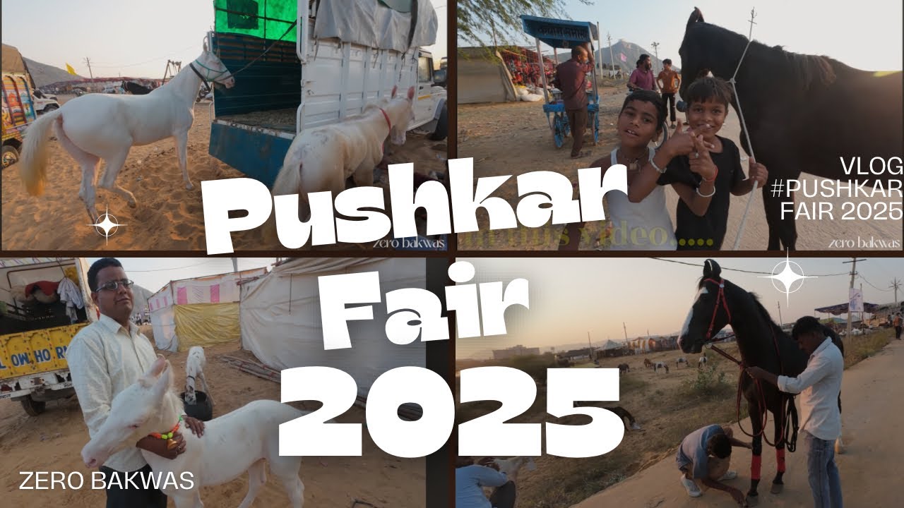 Pushkar Fair 2025 पुष्कर मेला घोड़ों की दुनिया, खरीद और बिक्री  | Heaven for Photographers