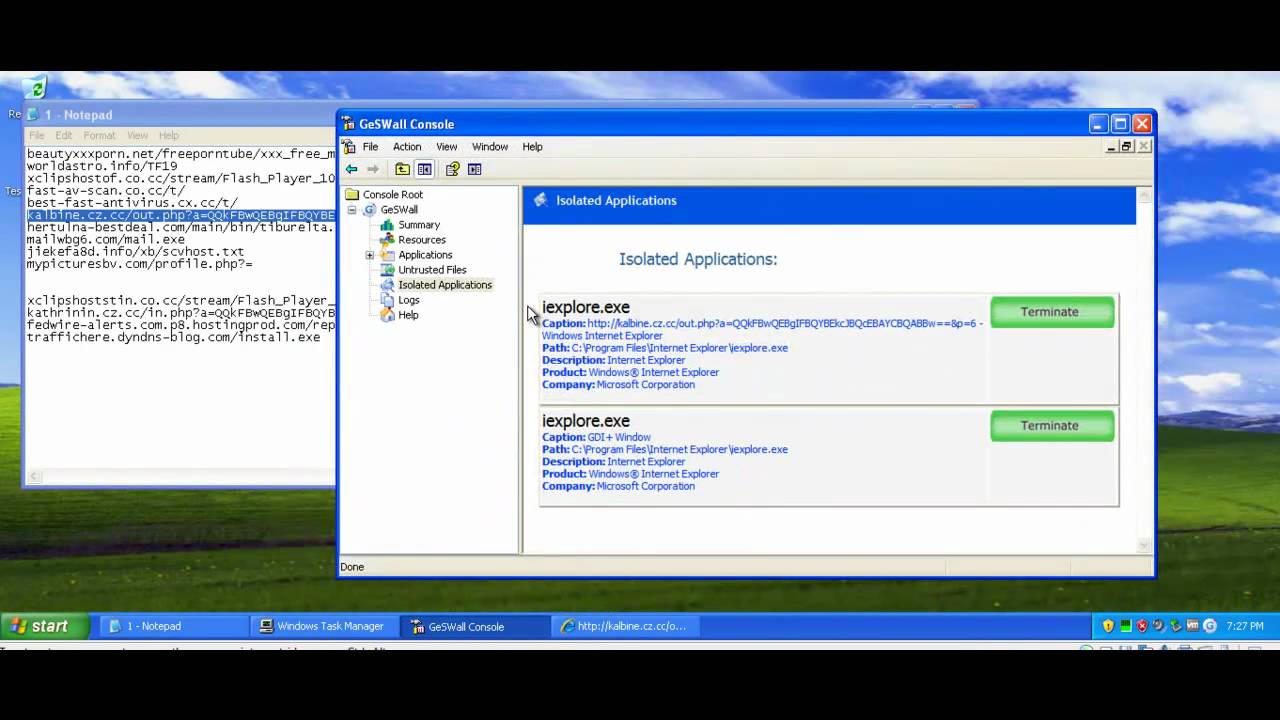 Virus Reviewers - GeS Wall Review