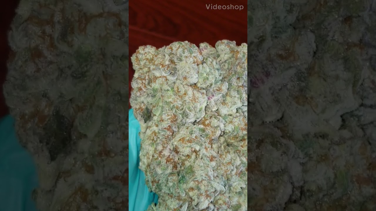 Super Dank Canadian Bud - MUST SEE
