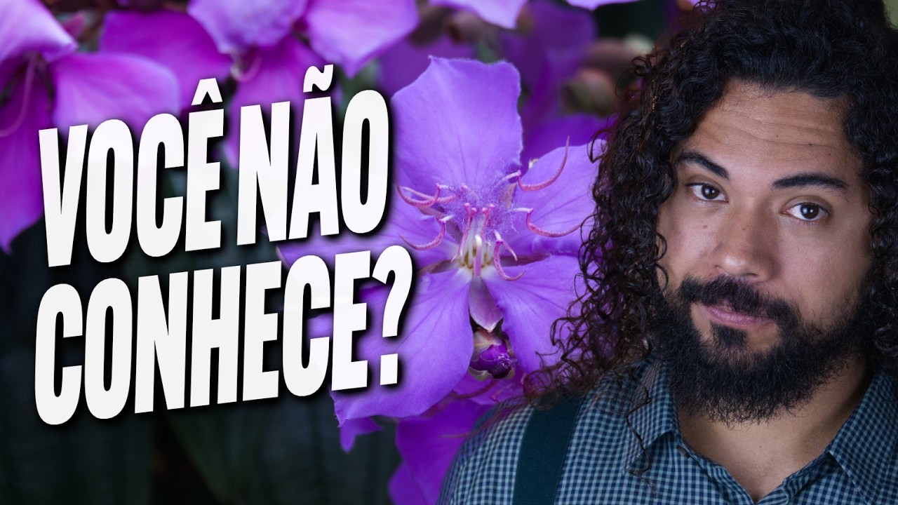 Porque ela é o SÍMBOLO da QUARESMA?