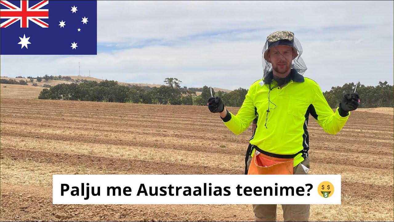 Milline on elu Austraalias? | Vlog - osa 2